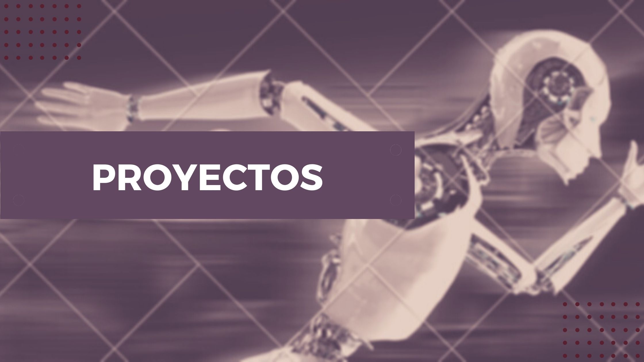 Proyectos